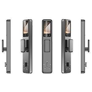 w66国际·利来(中国)最给力的老牌